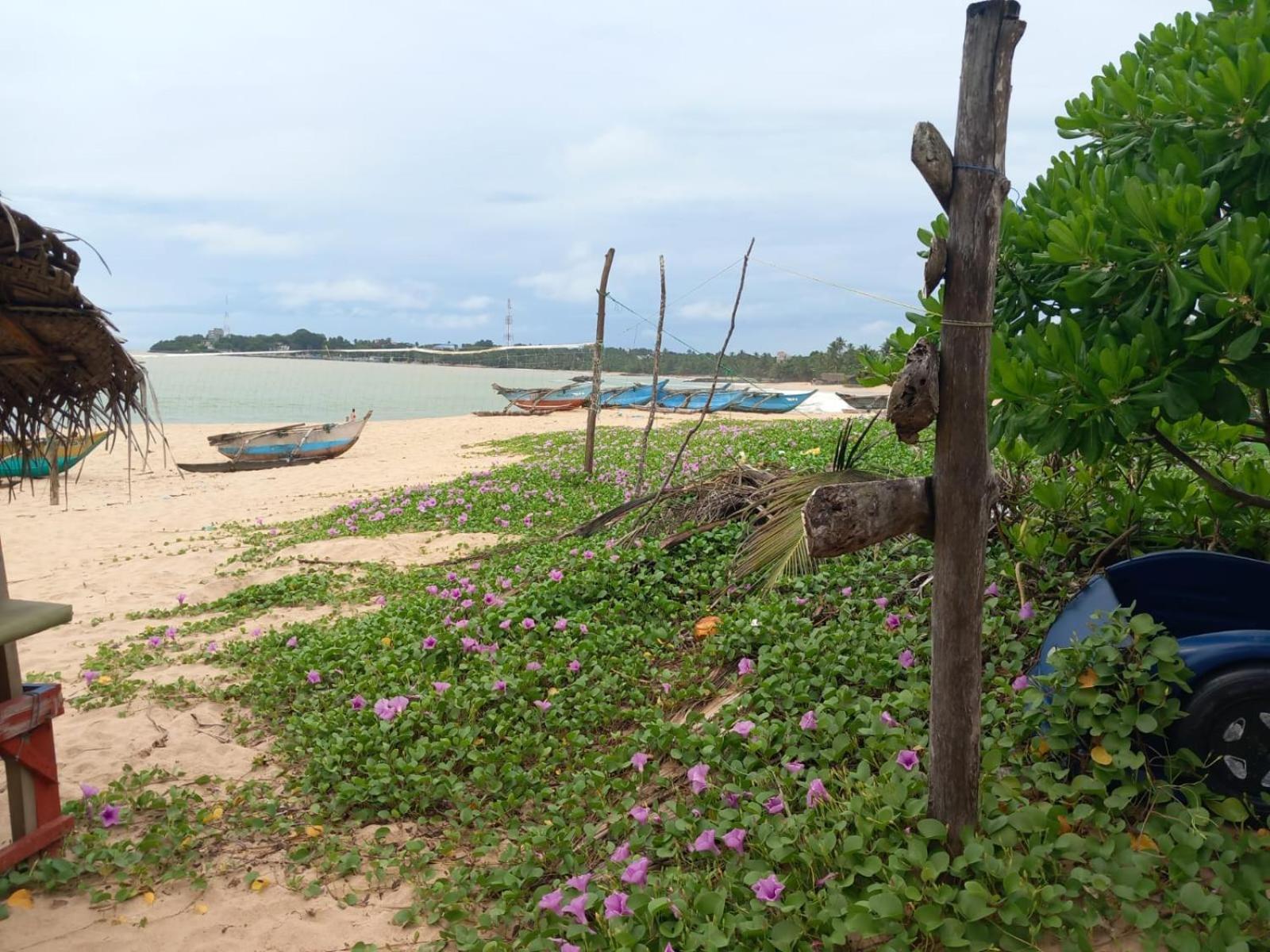 Blue Horizon Beach Hotel Tangalle Kültér fotó